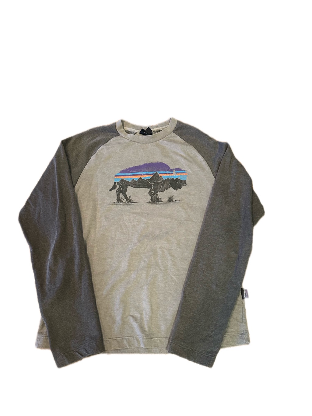 Vintage Organic Patagonia Gray Crewneck Long Sleeve Shirt